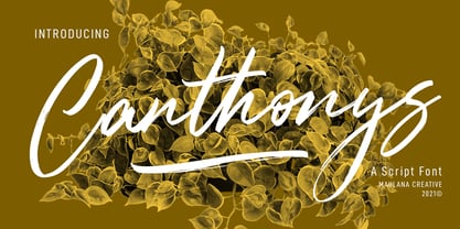 Canthonys Font Poster 1
