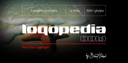 Logopedia Now Font Poster 1