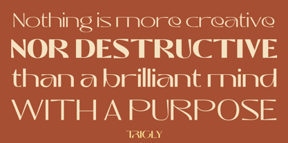 Trigly Font Poster 5