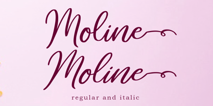 Moline Font Poster 9