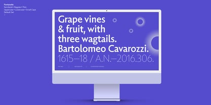 Fontanella Font Poster 3