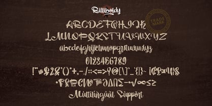 Billiboldy Font Poster 7