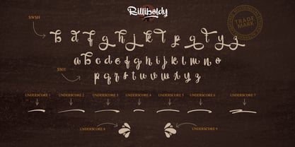 Billiboldy Font Poster 8