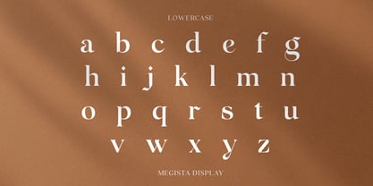 Megista Display Font Poster 13