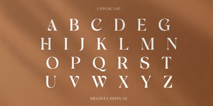 Megista Display Font Poster 14