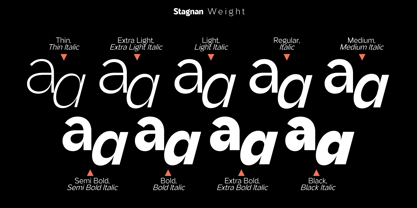 Stagnan Font Poster 2