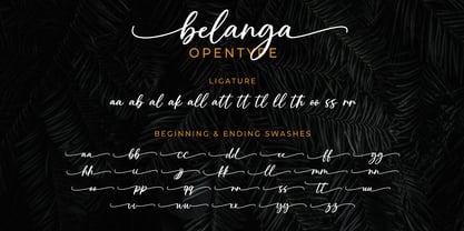 Belanga Font Poster 7