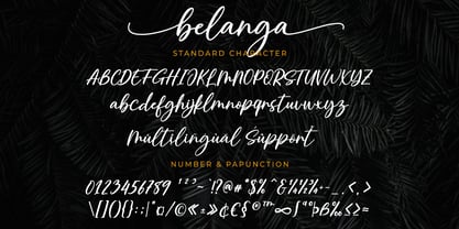 Belanga Font Poster 6