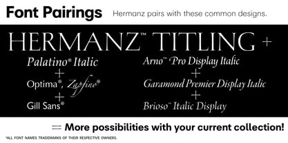 Hermanz Titling Font Poster 11