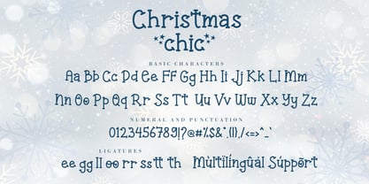 Christmas Chic Font Poster 9