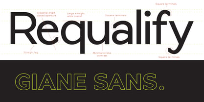 Giane Sans Font Poster 4
