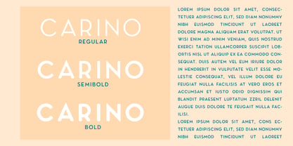 Carino Sans Font Poster 13