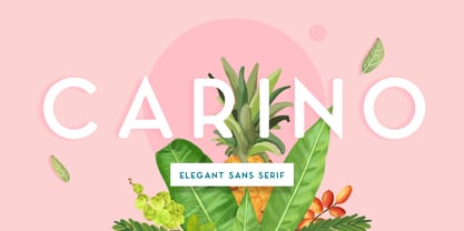 Carino Sans Font Poster 1