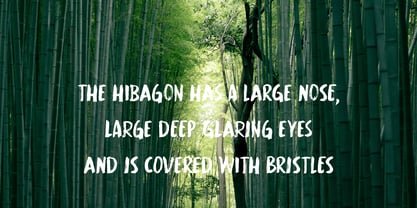 Hibagon Font Poster 3