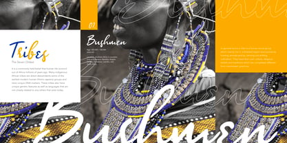 Afrocultures Font Poster 2