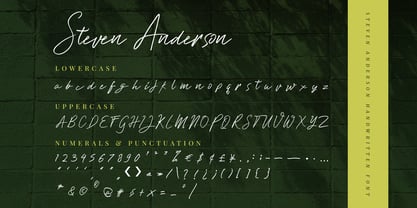 Steven Anderson Fuente Póster 9