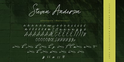 Steven Anderson Police Affiche 10