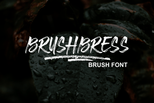 Brushbress Font Poster 1