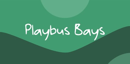 Playbus Bays GT Font Poster 1