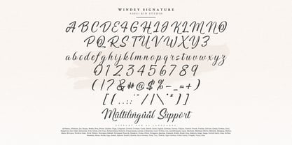 Windey Signature Font Poster 8
