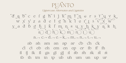 Puanto Font Poster 15