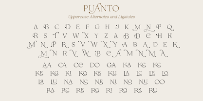 Puanto Font Poster 14