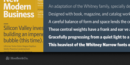 Whitney Font Poster 9