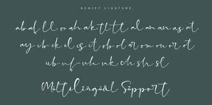 Ladylord Font Poster 7