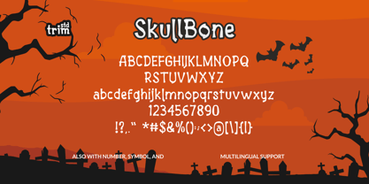 Skullbone Font Poster 7