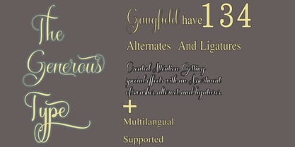 Gangfield Font Poster 5