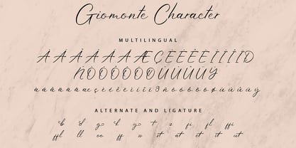Giomonte Font Poster 9