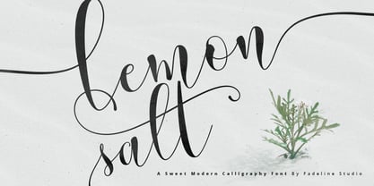 Lemon Salt Font Poster 1