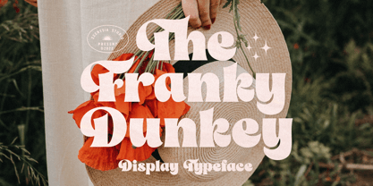 The Franky Dunkey Font Poster 1