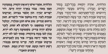 Hebrew Liane Tanach Fuente Póster 3