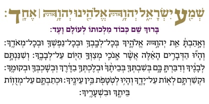Hebrew Liane Tanach Fuente Póster 4