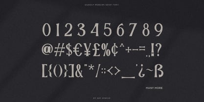 Silkocy Font Poster 13
