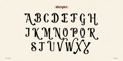 Silkocy Font Poster 11