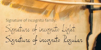 Signature of Incognito Font Poster 5