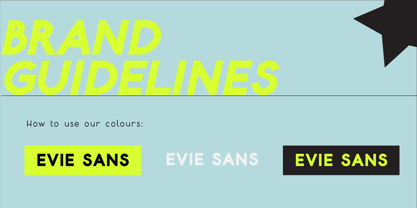 Evie Sans Font Poster 5