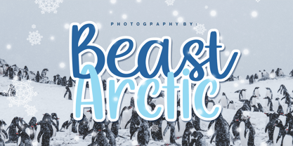 Mealky Winter Font Poster 7