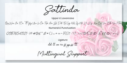 Sattinda Font Poster 6