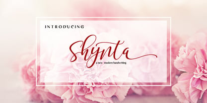 Shynta Font Poster 1