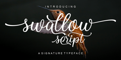 Swallow Script Font Poster 1