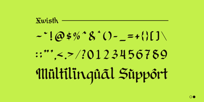 Xwisth Font Poster 10