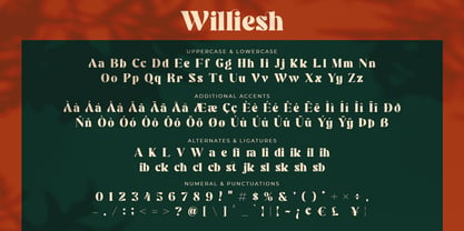 Williesh Font Poster 9