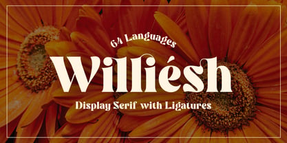 Williesh Font Poster 1