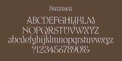 Swansea Font Poster 4