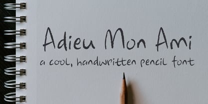 Adieu Mon Ami Font Poster 1