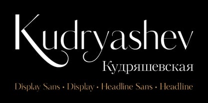 Kudryashev Display Police Poster 1