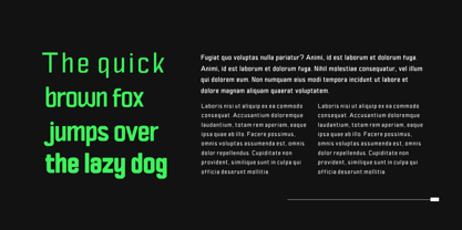Viprox Font Poster 2